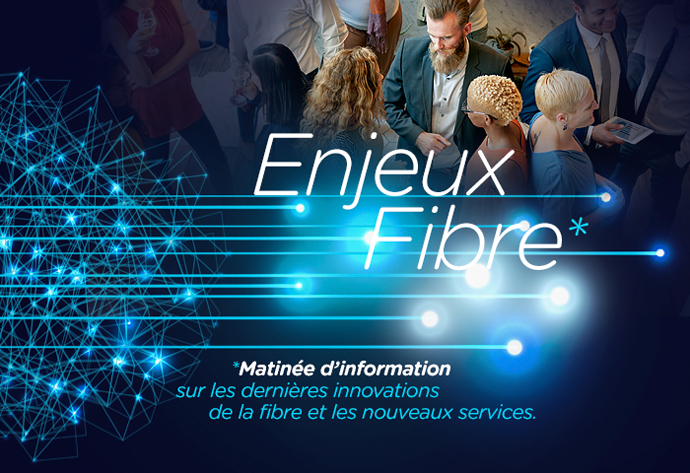 Enjeux fibre