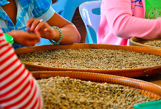 Biomarqueurs : trier le bon grain de l’ivraie