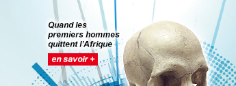 Quand les premiers hommes quittent l’Afrique