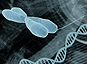 Découverte d'un nouveau mécanisme d'endommagement de l'ADN par des UV
