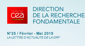 Direction de la Recherche Fondamentale